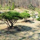 근수목장 이미지