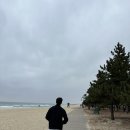 이즈프리(isfree) | 한겨울 눈덮인 대관령 &amp; 강릉 내돈내산 2박3일 여행~ (2)