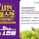 농업할인마트 이미지