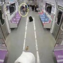 방화 이미지