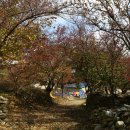 노성산약수터 | 빨간열매가 탐스런 이천농촌체험마을 산수유마을 산수유축제 이천농촌나드리 경기도 이천여행