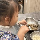 거송식당 | 청주 맛집 거송갈비찜 26개월 아기와 함께 식사 후기