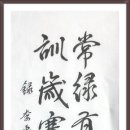 상록유