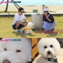 류태준 카카오 검색결과