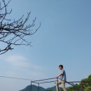 우륵공인중개사 이미지