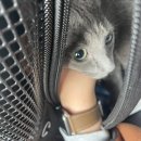 둘리동물병원 이미지