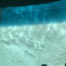 프로오토워시존 이미지