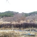 고전초등학교고남분교장 | [경남하동토지(임야)경매] 하동군 고전면 전도리 산59 경매 # 2021타경229 #