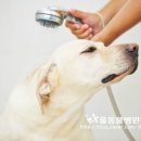 개편한세상 이미지