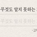 요새불멍 이미지
