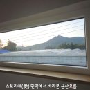 소보리애 네이버블로그