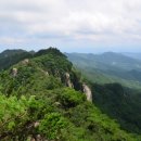 대구제일중학교 이미지