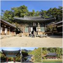 불영사주차장 | 경북 울진 가볼만한곳 불영사 계곡 가을 나들이