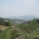 복상골낚시터 이미지