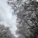 상백1리 마을회관 이미지