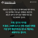 우리나라에서 인구수가 가장많은 세대수..(돼지들) 이미지