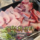 번동동부 서비스센터 | 창원시 진해 동부회센타 대방어 시세 가성비 회 맛집 내돈내산