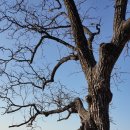 (주)자연과 사람들 이미지