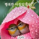 행복한아침 이미지