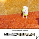 댕댕놀이터 | 장유 댕댕워터파크 롯데워터파크 강아지 물놀이터