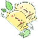보니타정원
