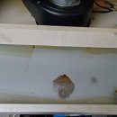 동신2차(사랑마을) 이미지