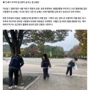 "길고양이 급식소 청소하며 쓰레기 주워요"…'냥플로깅' 직접 체험해보니 이미지