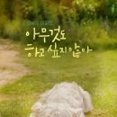 성민당구장 이미지