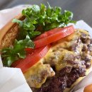 캐나다(Canada)도 반한 한국의 블로그(K-Blog)는? 바로 여기(Here)