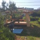 온천대로 이미지