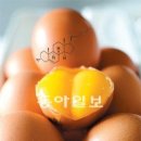 정석닷컴 이미지