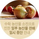 농업회사법인 세종로컬푸드 주식회사 이미지