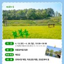 2025 회룡포 봄꽃축제 이미지