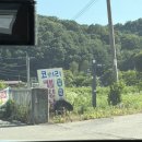 코끼리캠핑장 | 대구근교 고령 물놀이가능한 키즈캠핑장 고령코끼리캠핑장 사이트