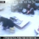또래친구어린이집 세계일보