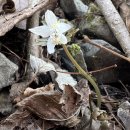 산골짜기 이미지