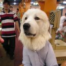 JJ당구장 이미지