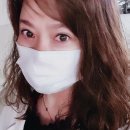 도시락이야기 이미지