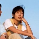 국화꽃향기 이미지