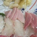 동대참치