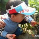 찬민농장 Daum카페