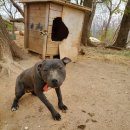 범이농장 이미지