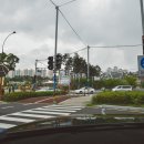 벨리노16 네이버블로그