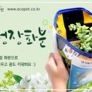 원디자인 이미지