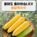 농부의 과일창고