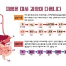 독일피엠 이미지
