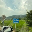 [전북/고창] 너무 좋았던 고창 애견동반 펜션 &#39;고창29펜션&#39; (A룸, 내돈내산)