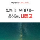 별빛