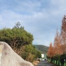 단심골프랜드 이미지