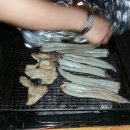 통영캠핑스토리 이미지